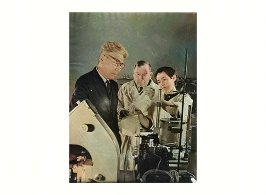 Toraighyrov University